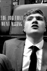 Fate-ale: The Job That Went Wrong series tv
