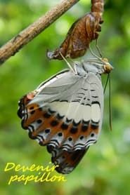 Devenir papillon-hd