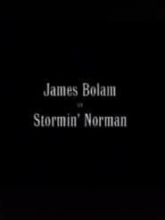 Stormin' Norman series tv