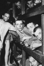 Vooral niet opvallen - Nederlanders in Buchenwald (2008)
