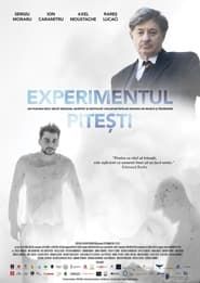 The Pitești Experiment series tv