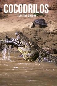 Image Crocodiles, the last dragon