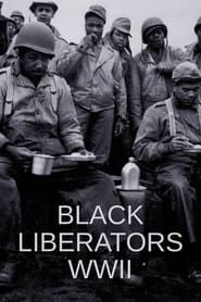 Image Black Liberators WWII