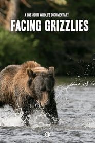 Image Facing Grizzlies