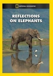 Image Reflections on Elephants