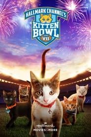 Kitten Bowl VII series tv
