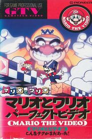Mario & Wario Perfect Video series tv
