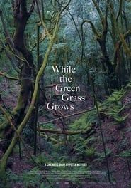 While the Green Grass Grows series tv