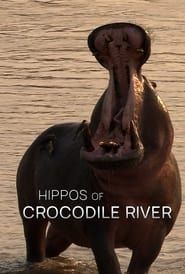 Image Hippos of Crocodile River 2020