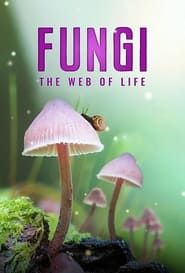 Image Fungi: Web of Life 