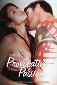 Playgirl: Provocative Passion (2008)