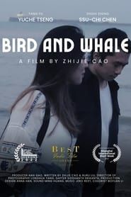 Bird and Whale series tv