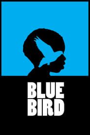 Blue Bird series tv