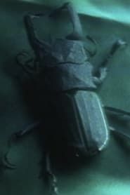 Entomologist (1995)