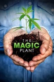 The Magic Plant series tv
