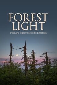 Forest Light series tv