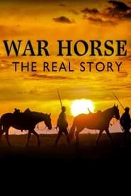 Image War Horse The Real Story 2012
