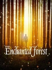Image The Enchanted Forest 2020