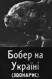Beavers in Ukraine series tv