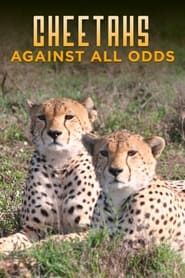 Cheetahs Against All Odds  streaming