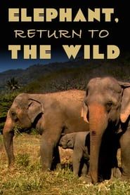 Elephant, Return to the Wild series tv