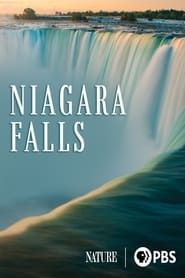 Niagara Falls (2023)