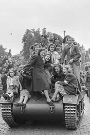Overwinning in Nederland (1945)
