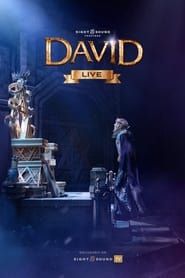 David series tv