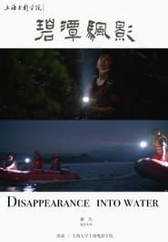 Image Disappearance into Water