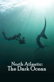 Image North Atlantic: The Dark Ocean