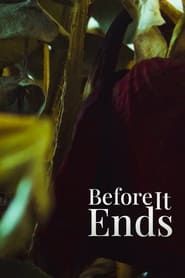 Before It Ends series tv