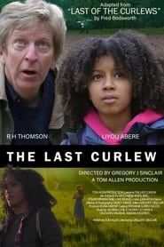 The Last Curlew (2023)