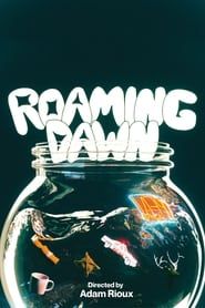 Roaming Dawn series tv