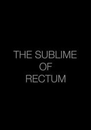 The Sublime of Rectum series tv