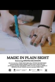 Magic in Plain Sight series tv