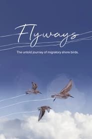 Flyways series tv
