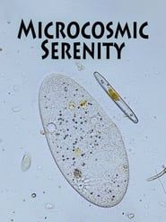 Microcosmic Serenity 