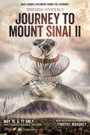 Image Patterns of Evidence: Journey to Mount Sinai II