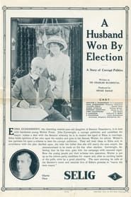 A Husband Won by Election (1913)