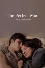 The Perfect Man series tv