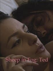 Sheep in Fog (2016)
