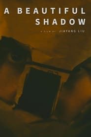 A Beautiful Shadow series tv