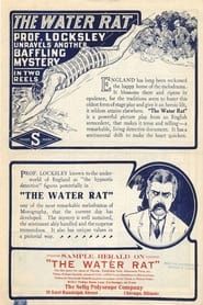 The Water Rat-hd