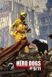 Hero Dogs Of 9/11
