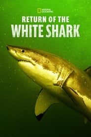 Return of the White Shark series tv