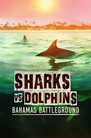 Image Sharks vs. Dolphins: Bahamas Battleground