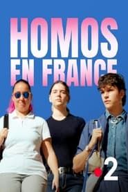 Homos in France series tv