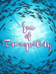 Image Sea of Tranquility