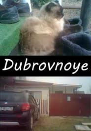Dubrovnoye series tv