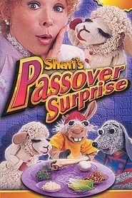 Shari's Passover Surprise series tv